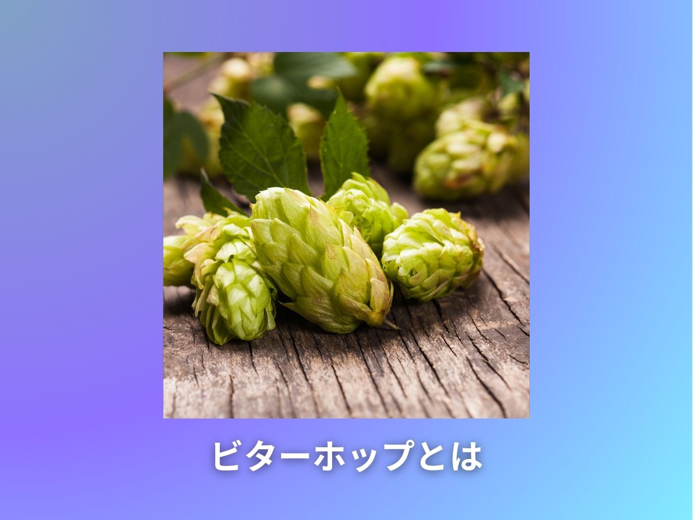 ビターホップとは