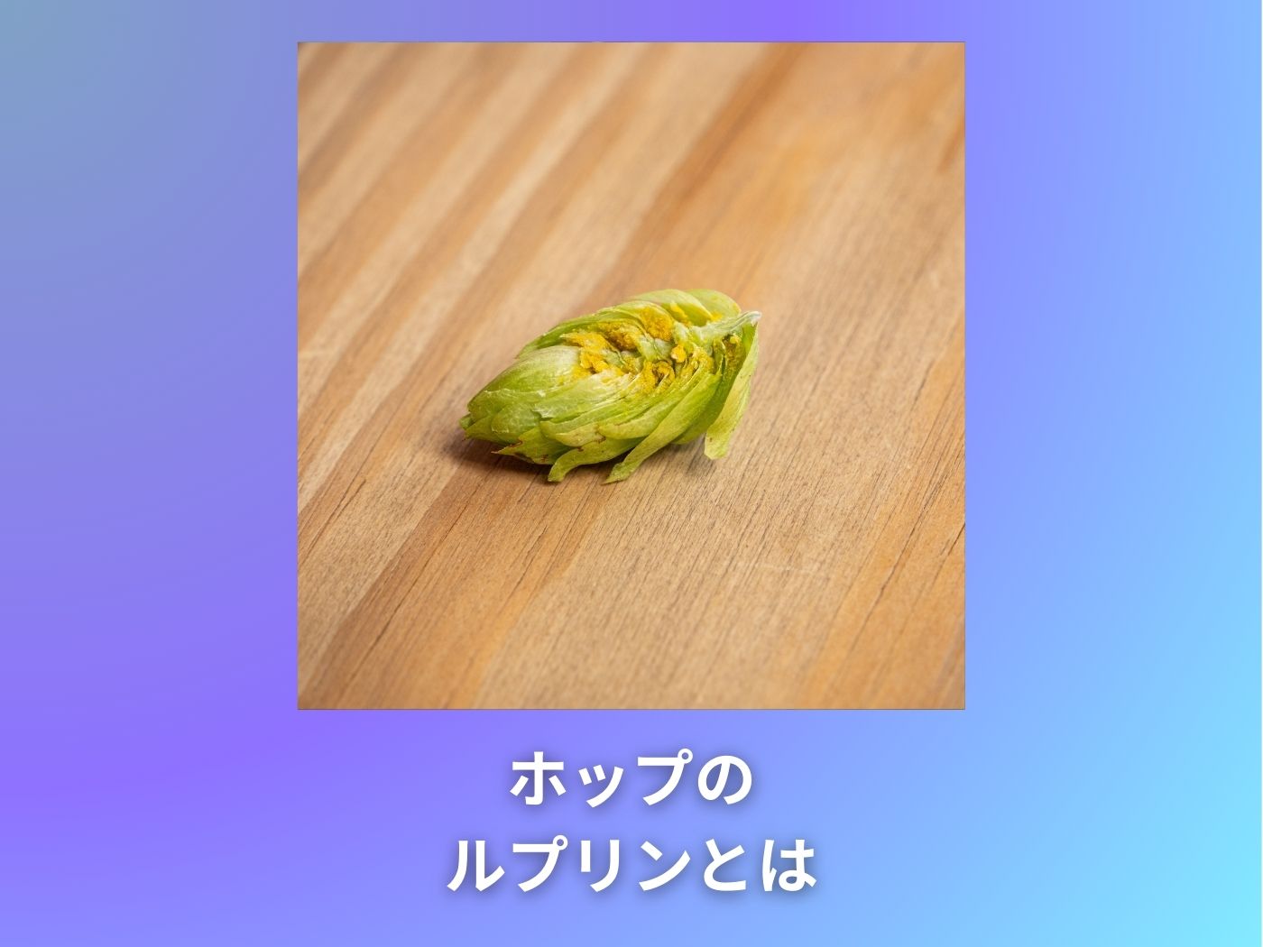 ホップの ルプリンとは